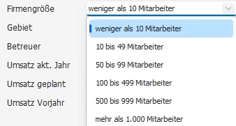 Feld mit Auswahllisten-Listenknopf