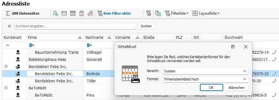 Schnelldruck Format