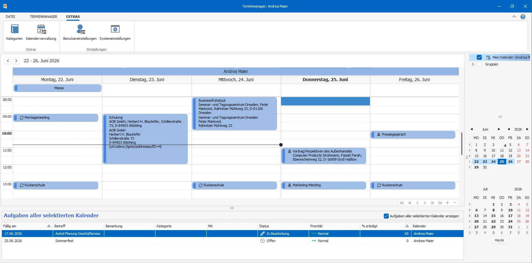 Terminmanager Hauptfenster